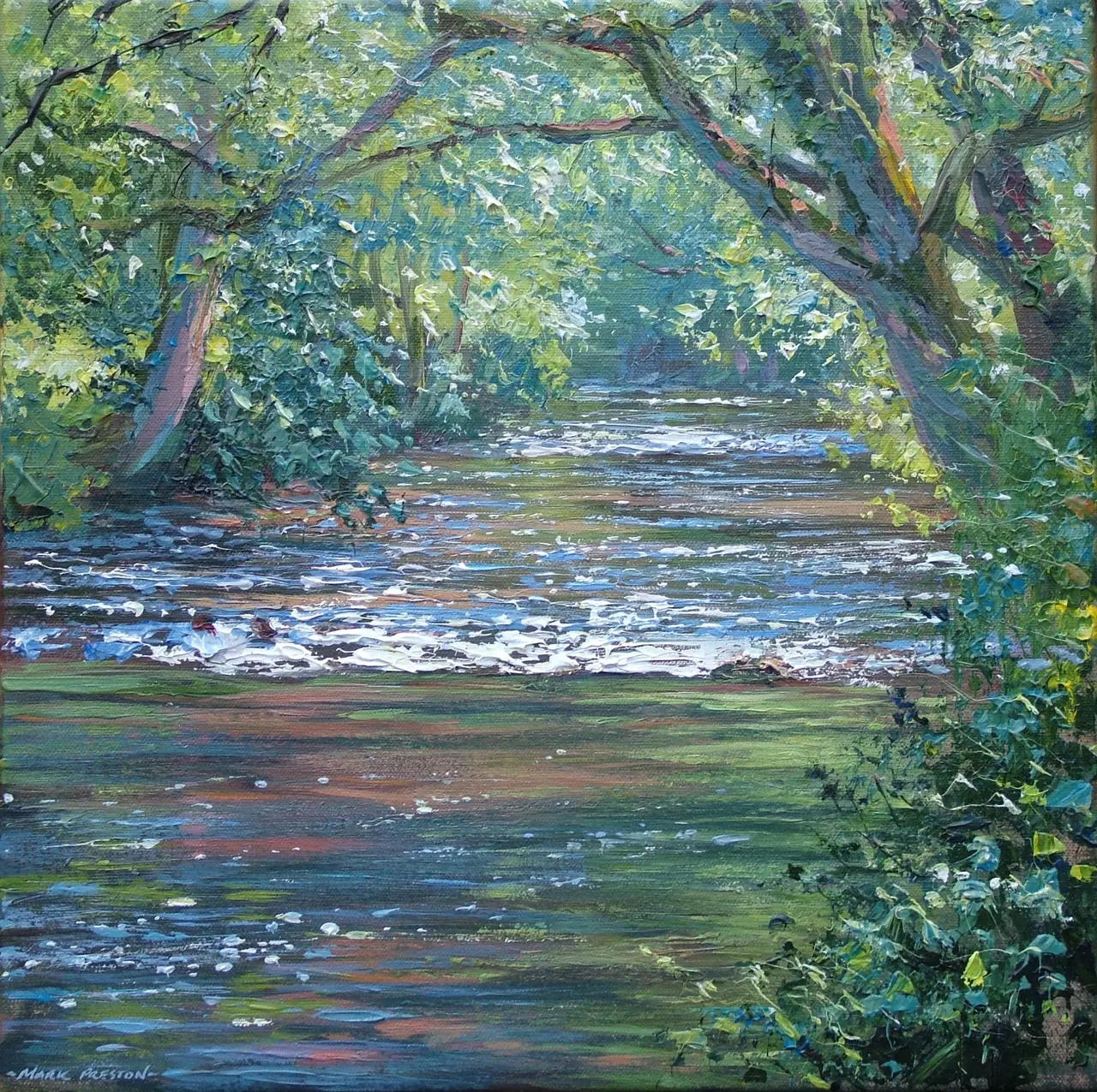 Mark Preston - sunlit river, dovedale